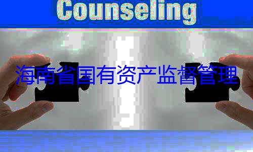 理委员会党有福接受审委副书记王资产监督管海南省国有查调查